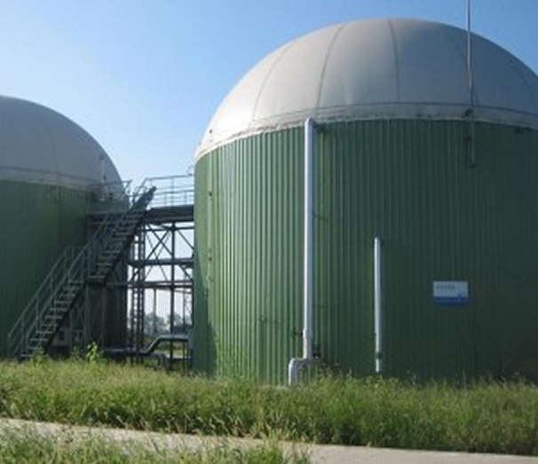 Reservation of biogas production and utilization